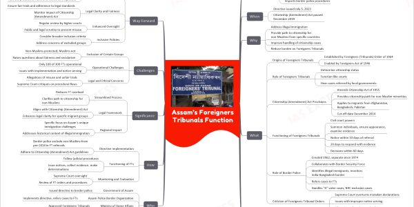 Assam’s Foreigners Tribunals Function