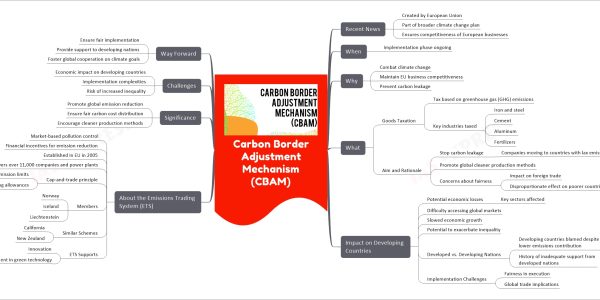 Carbon Border Adjustment Mechanism (CBAM)