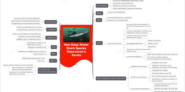 New Deep-Water Shark Species Discovered in Kerala