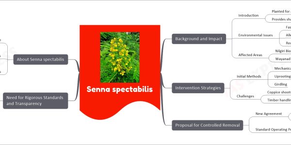 Senna spectabilis