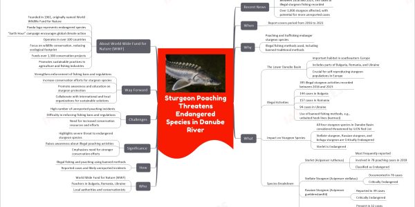 Sturgeon Poaching Threatens Endangered Species in Danube River