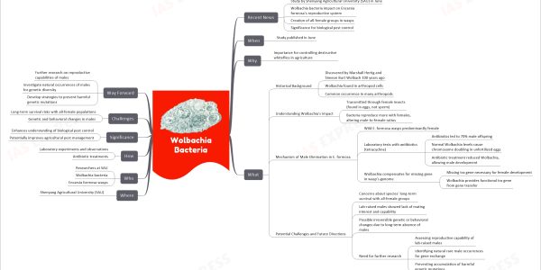 Wolbachia Bacteria