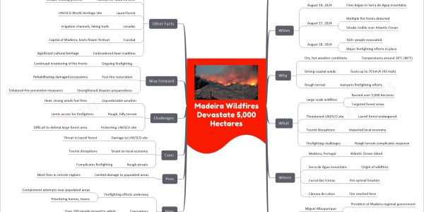 Madeira Wildfires Devastate 5,000 Hectares
