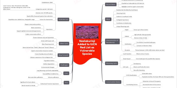 Neelakurinji Added to IUCN Red List as Vulnerable Species