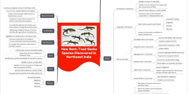 New Bent-Toed Gecko Species Discovered in Northeast India