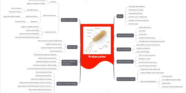 Prokaryotes