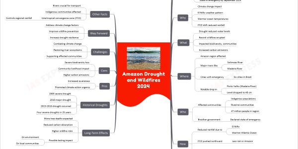 Amazon Drought and Wildfires 2024
