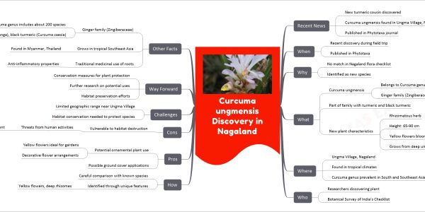 Curcuma ungmensis Discovery in Nagaland