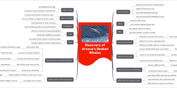 Discovery of Arnoux’s Beaked Whales