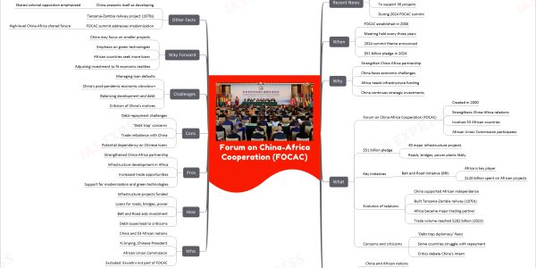 Forum on China-Africa Cooperation (FOCAC)