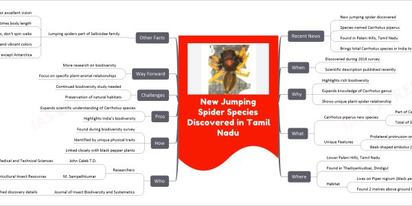 New Jumping Spider Species Discovered in Tamil Nadu
