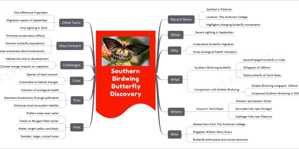 Southern Birdwing Butterfly Discovery