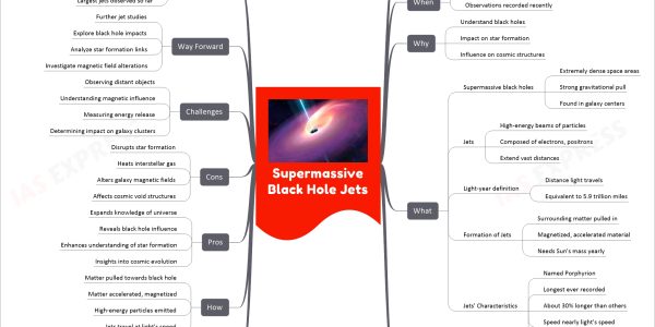 Supermassive Black Hole Jets