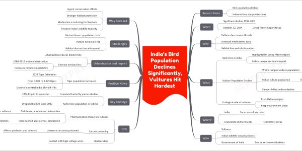 India’s Bird Population Declines Significantly, Vultures Hit Hardest