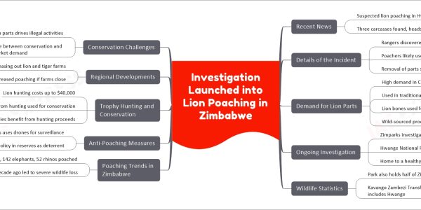 Lion Poaching Investigation in Zimbabwe