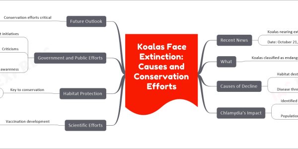 Koalas Face Extinction: Causes and Conservation Efforts