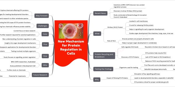New Mechanism for Protein Regulation in Cells