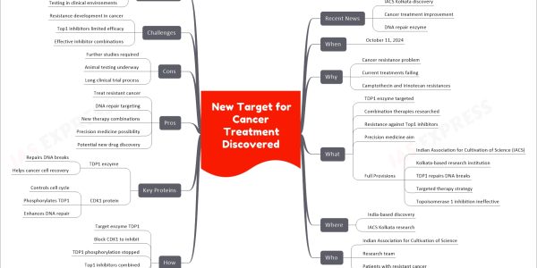 New Target for Cancer Treatment Discovered