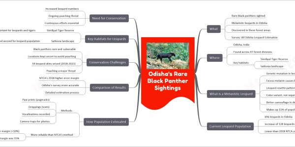 Odisha's Rare Black Panther Sightings