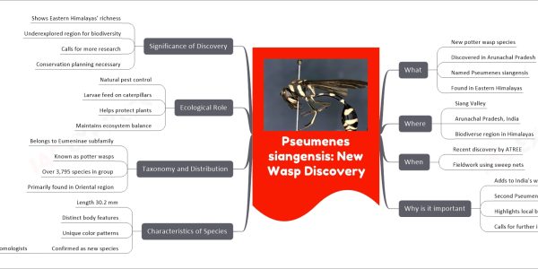 Pseumenes siangensis: New Wasp Discovery