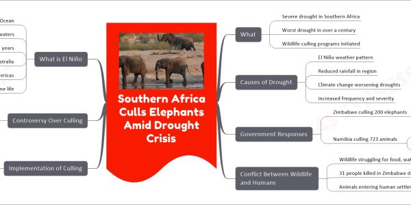 Southern Africa Culls Elephants Amid Drought Crisis