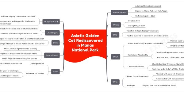 Asiatic Golden Cat Rediscovered in Manas National Park