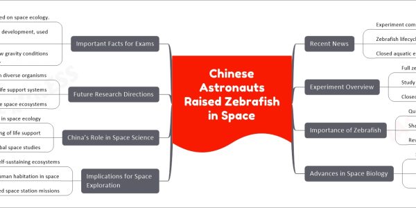 Chinese Astronauts Raised Zebrafish in Space