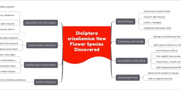Dicliptera srisailamica: New Flower Species Discovered