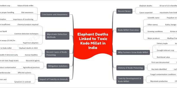 Elephant Deaths Linked to Toxic Kodo Millet in India
