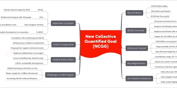 New Collective Quantified Goal (NCQG)