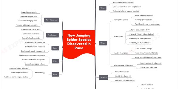New Jumping Spider Species Discovered in Pune