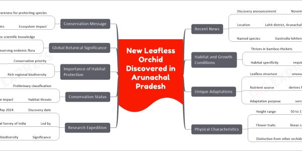 New Leafless Orchid Discovered in Arunachal Pradesh