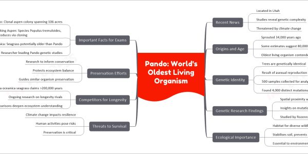 Pando: World's Oldest Living Organism