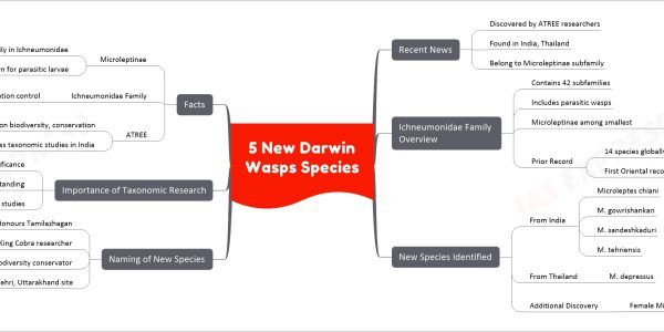 5 New Darwin Wasps Species