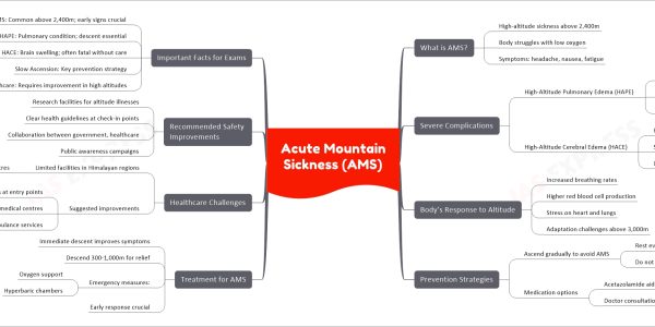 Acute Mountain Sickness (AMS)