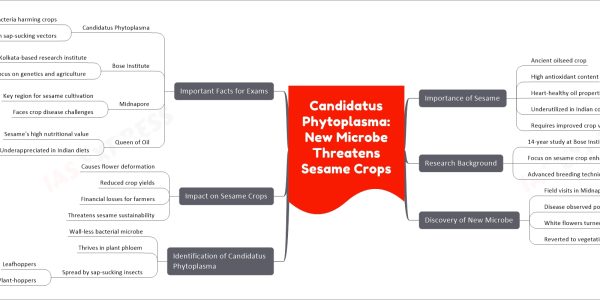 Candidatus Phytoplasma: New Microbe Threatens Sesame Crops