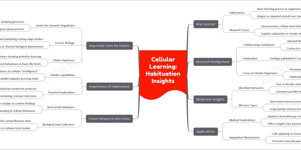 Cellular Learning: Habituation Insights