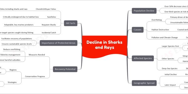 Decline in Sharks and Rays