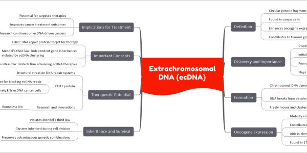Extrachromosomal DNA (ecDNA)