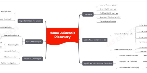 Homo Juluensis Discovery