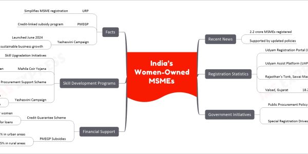 India’s Women-Owned MSMEs