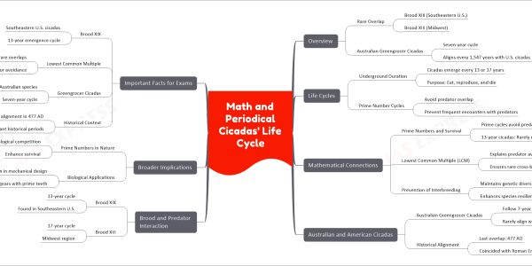 Math and Periodical Cicadas' Life Cycle