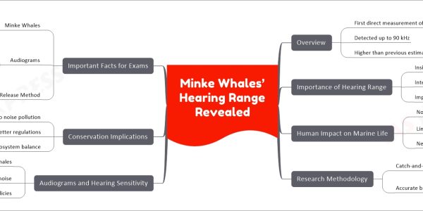 Minke Whales’ Hearing Range Revealed