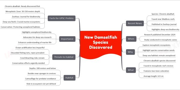 New Damselfish Species Discovered