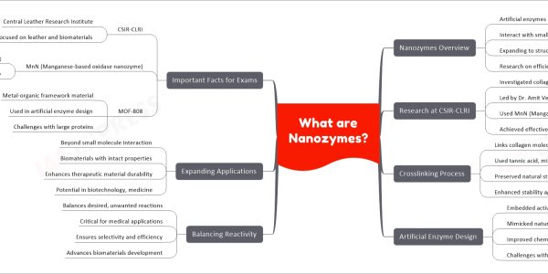 What are Nanozymes?
