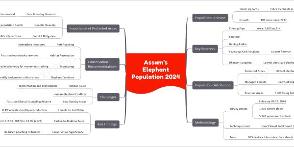 Assam’s Elephant Population 2024