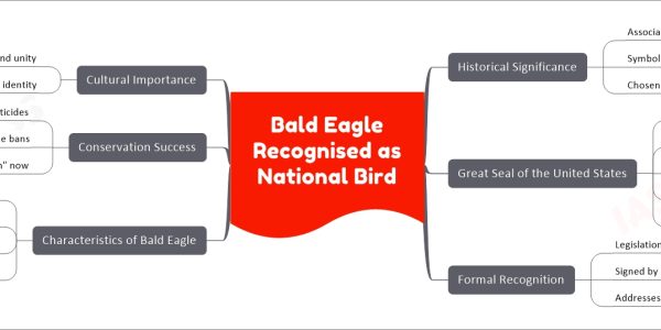 Bald Eagle Recognised as National Bird
