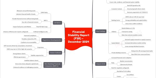 Financial Stability Report (FSR) – December 2024