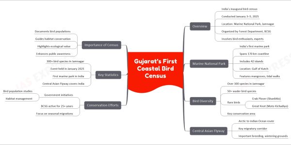 Gujarat’s First Coastal Bird Census