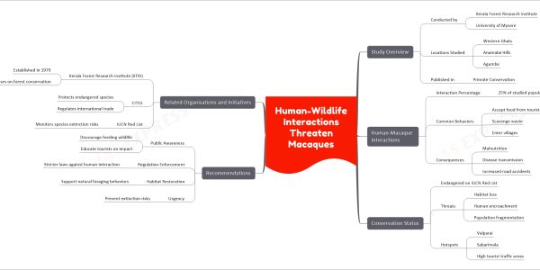 Human-Wildlife Interactions Threaten Macaques